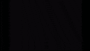 Girls Sale GIF by dealerz