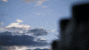 Trekker Läuft GIF by Maschinenring