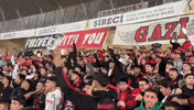 Gaziantep GIF