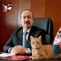 Gaziantep Gfk GIF