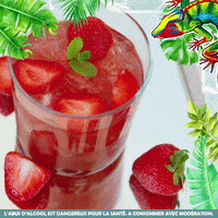 Aguacana_cachaca  GIF