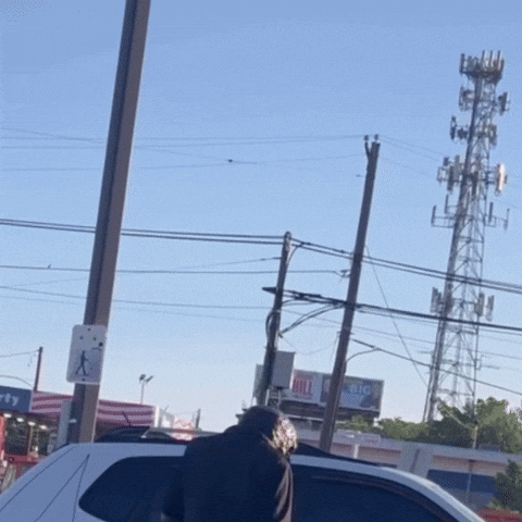 Excuse Me What GIF