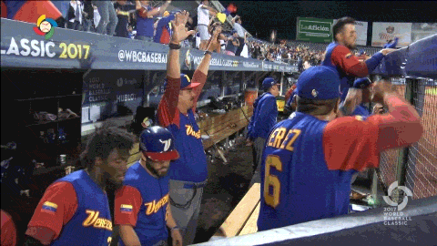 rougned odor venezuela GIF by MLB