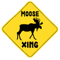 Homer Fishing Sticker by Sharing Alaska