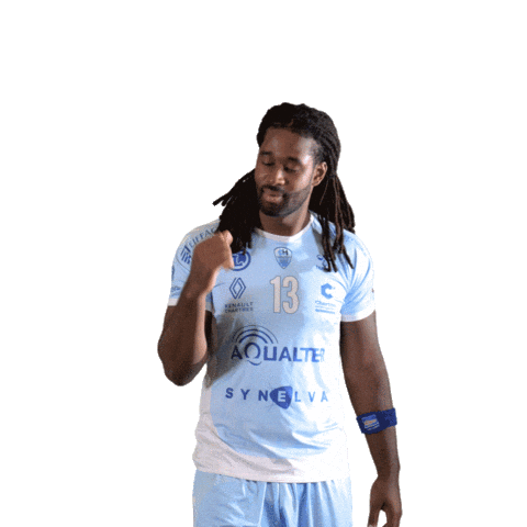 Handball Sticker by CchartresMHB
