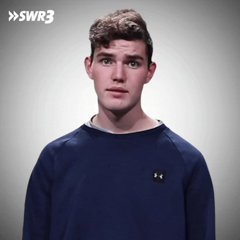 Sorry I Apologize GIF by SWR3