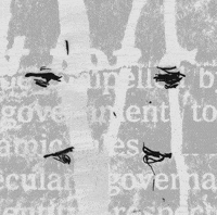 matthias brown newspaper GIF by TraceLoops