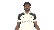 Celebration Goal Sticker by Fulham FC