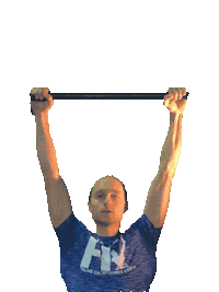 Hendrivermeer calisthenics pull up pullup online calisthenics coach Sticker