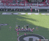 lsu uga GIF by SB Nation