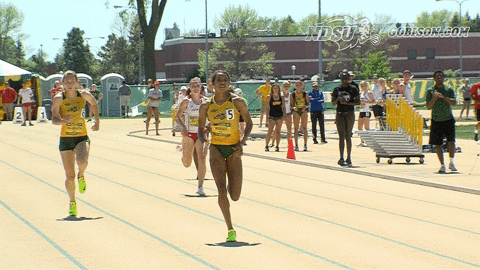 north dakota state bison GIF by NDSU Athletics