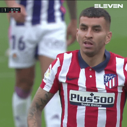 Celebration Celebrates GIF by ElevenSportsBE