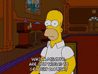 homer simpson episode 22 GIF