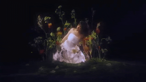 Free GIF by Raissa