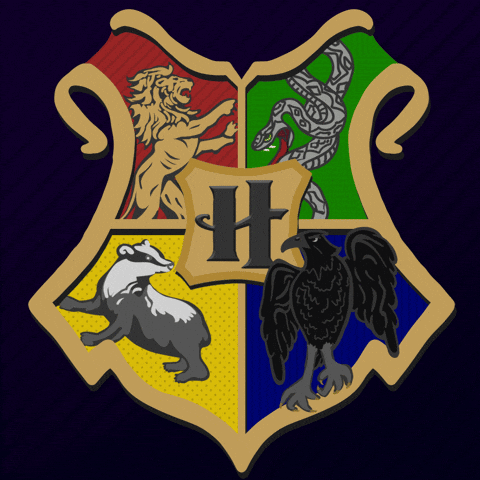 Harry Potter Ecuador GIF