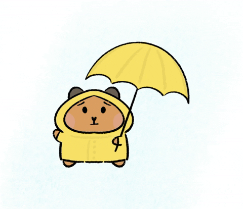 Rain Raining GIF