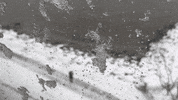 east river snow GIF