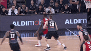 perthwildcats wildcats perth perth wildcats perthwildcats GIF