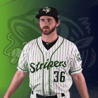 GoStripers gwinnett stripers johnstone GIF