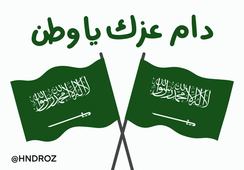 Saudi Arabia GIF