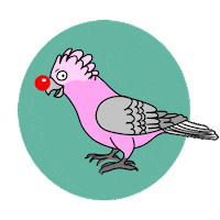 Red Nose Day Pink Sticker by Red Nose Australia