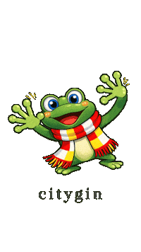 Carnaval Parade Sticker by Citygin