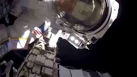 tulsimo giphygifmaker GIF