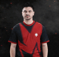 No Problem Esports GIF by HEET GG