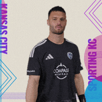 Major League Soccer GIF by Sporting KC