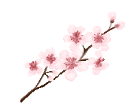 LATORTUGUITABLANCA boho flores primavera chic Sticker