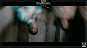 GIF by Arrow Video