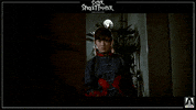 GIF by Arrow Video