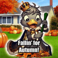 Autumn Raking GIF by sirduckbeth
