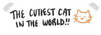 Cat Love Sticker