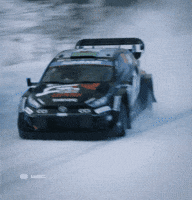Rallying Rally Sweden GIF by FIA World Rally Championship
