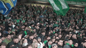 Geoffroy-Guichard Fans GIF by AS Saint-Étienne