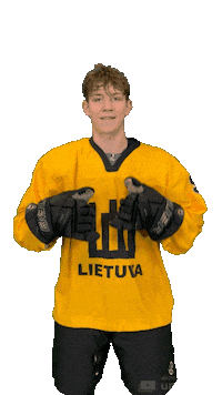 Hockeylietuva Sticker by ledoritulys.lt