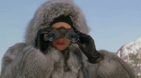 furglamor giphyupload looking fur binoculars GIF