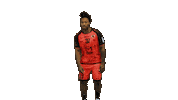 Handball Dragon Sticker by HCCA