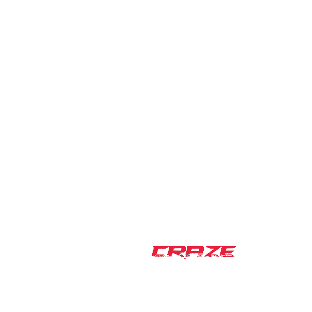 Sport Driving Sticker by AutoCraze