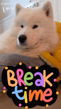 Chill Relax GIF
