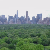 United Nations Biodiversity GIF by FAO