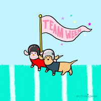 New England Patriots Football GIF by Stefanie Shank