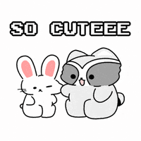 tocu_co animal sweet adorable lovely GIF
