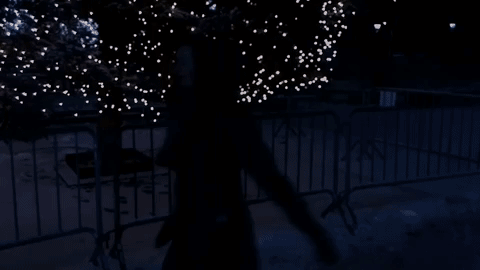irlcam GIF by Danny Chang