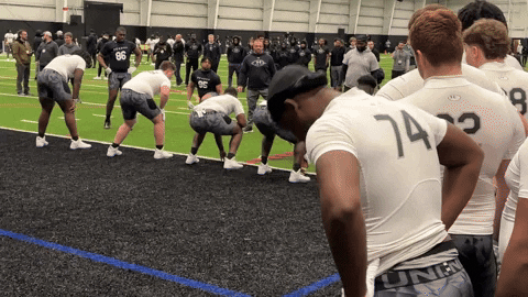 CoachPink giphyupload GIF