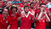 Euro 2016 Hello GIF by Sporza