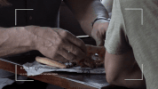gordon ramsay GIF by Fox TV