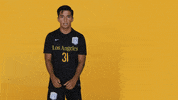 Cal State La Soccer GIF by Cal State LA Golden Eagles