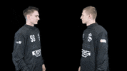panteri steiger kohut steigerkohut golmani GIF